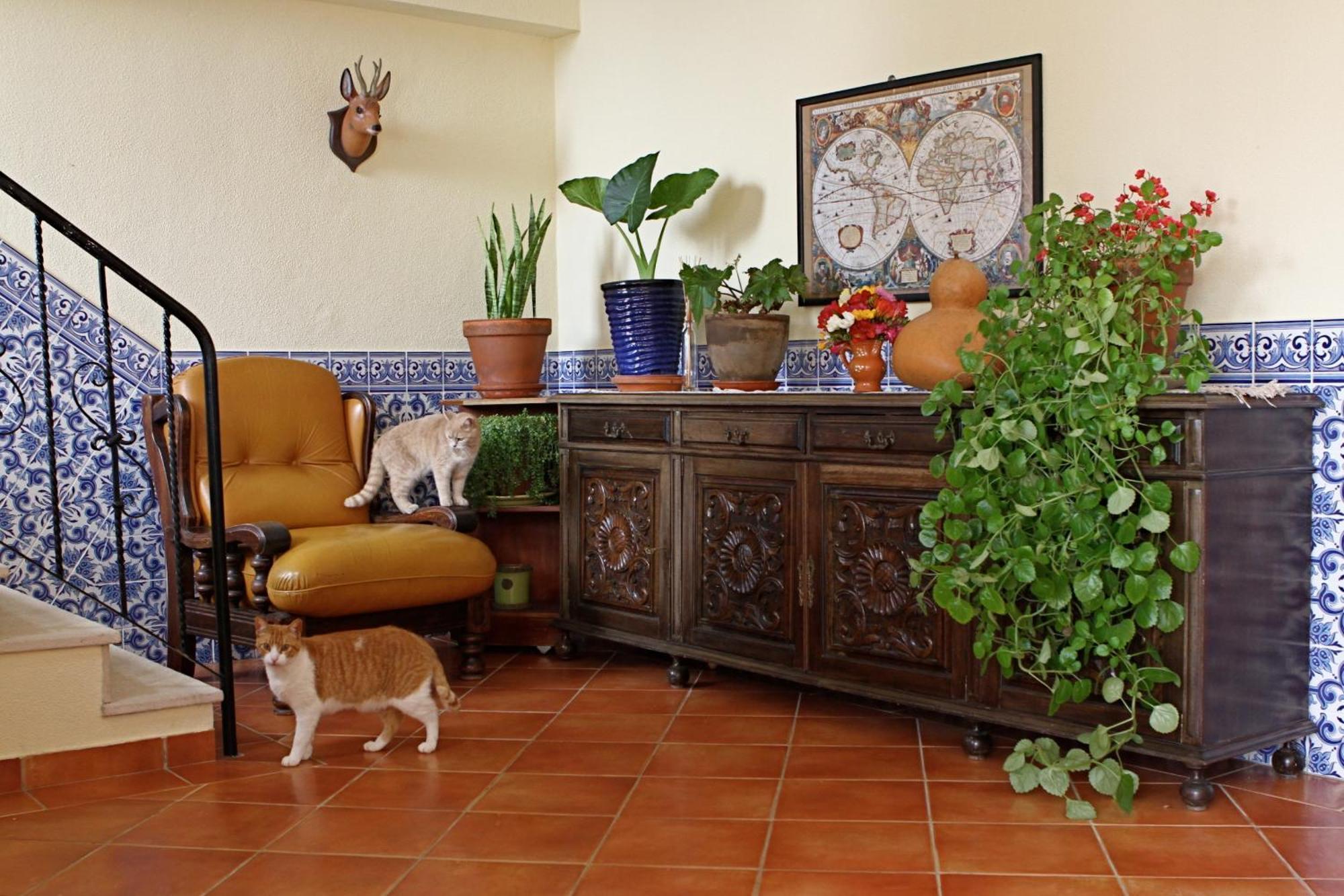 Vila Graciosa - Tranquility Oasis — Photos 2